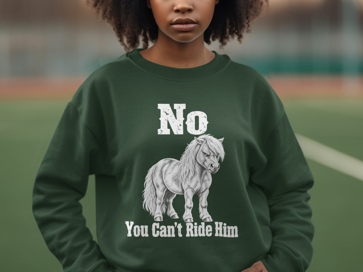 A person wearing a dark green sweatshirt printed with a grump pony and the text, No You Can't Ride Him.