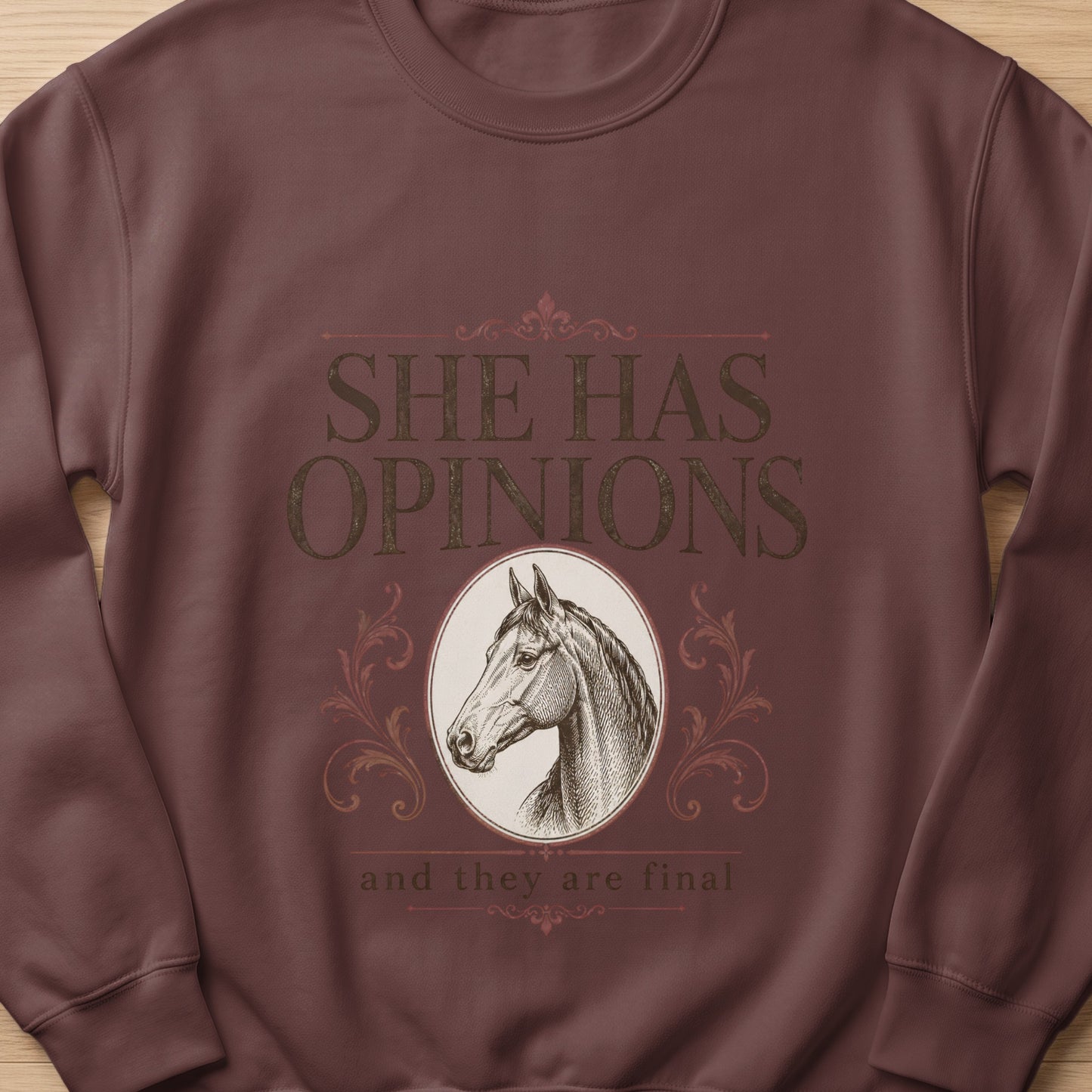 Brown sweatshirt with "She Has Opinions" and horse graphic.