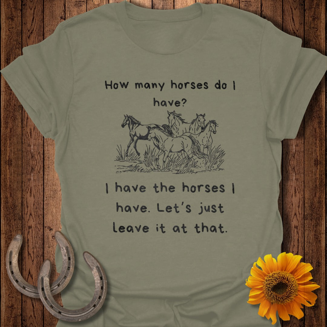 How Many Horses Softstyle T-Shirt