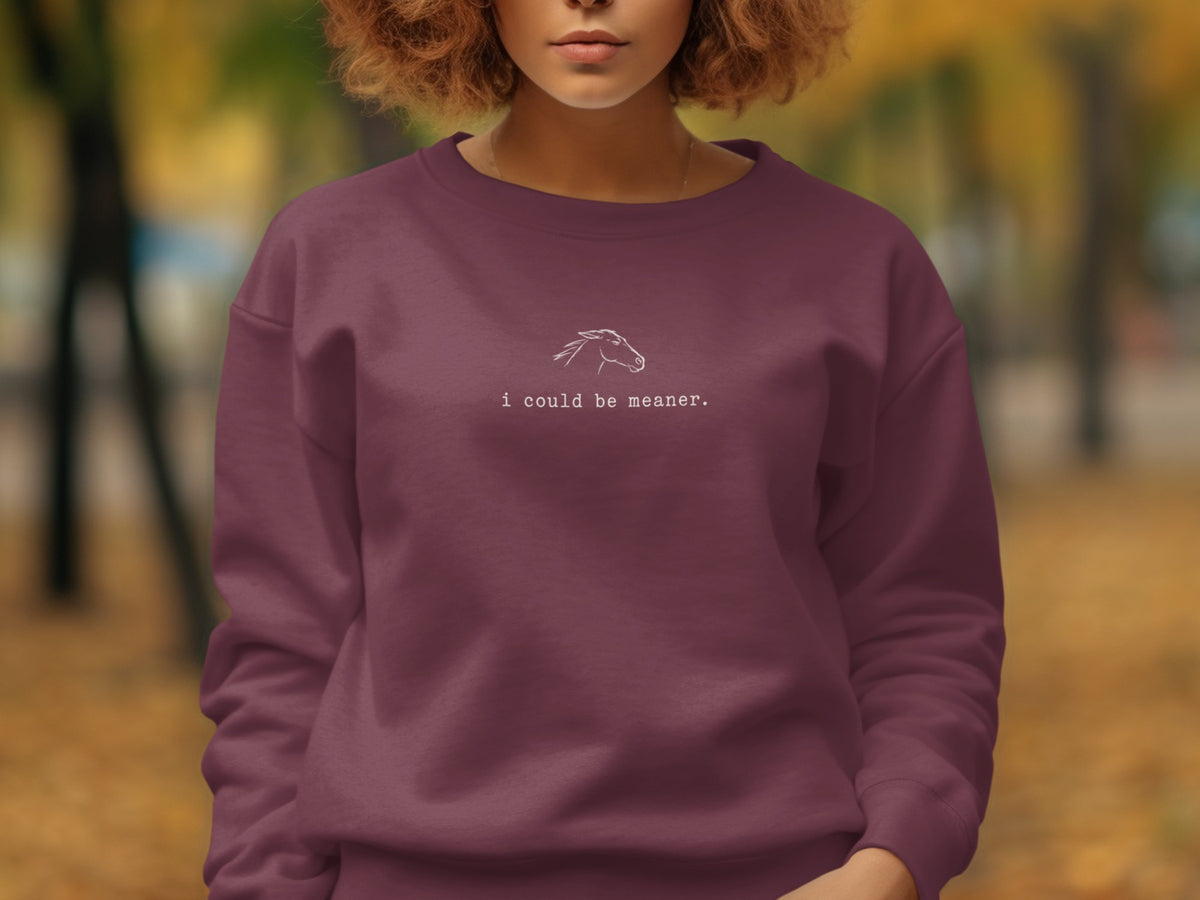 Maroon sweatshirt with white line drawing of a horse head and text "i could be meaner."