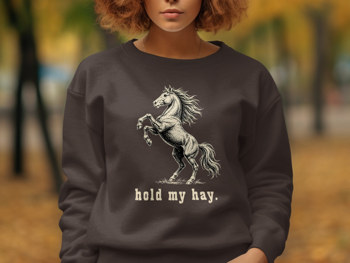 Dark grey sweatshirt with a rearing horse graphic and "hold my hay." text.