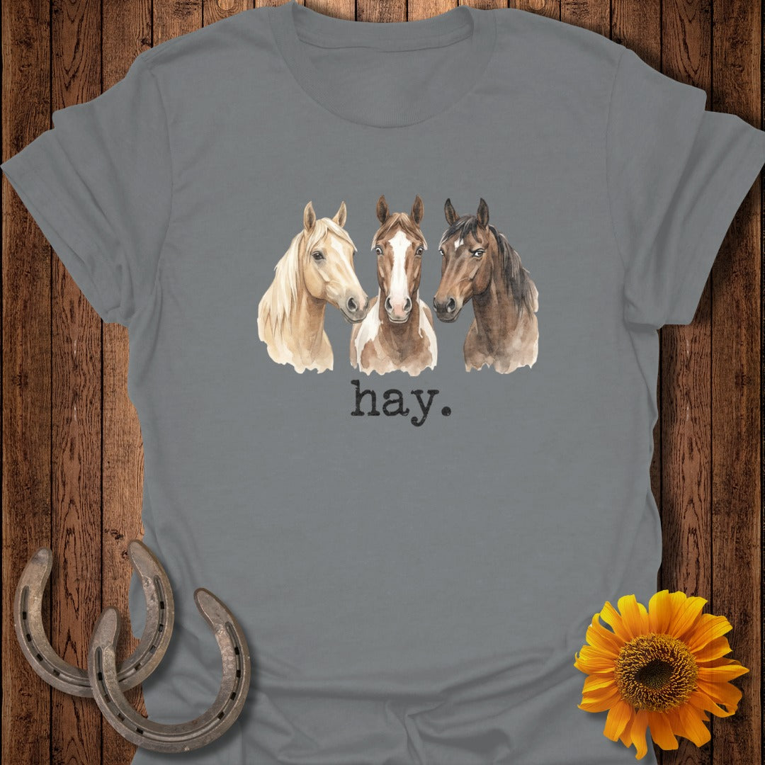 Watercolor painting of three horses above the word "hay."