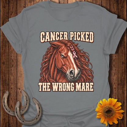 Brown horse with braided mane and pink ribbon on t-shirt with text "Cancer Picked The Wrong Mare".