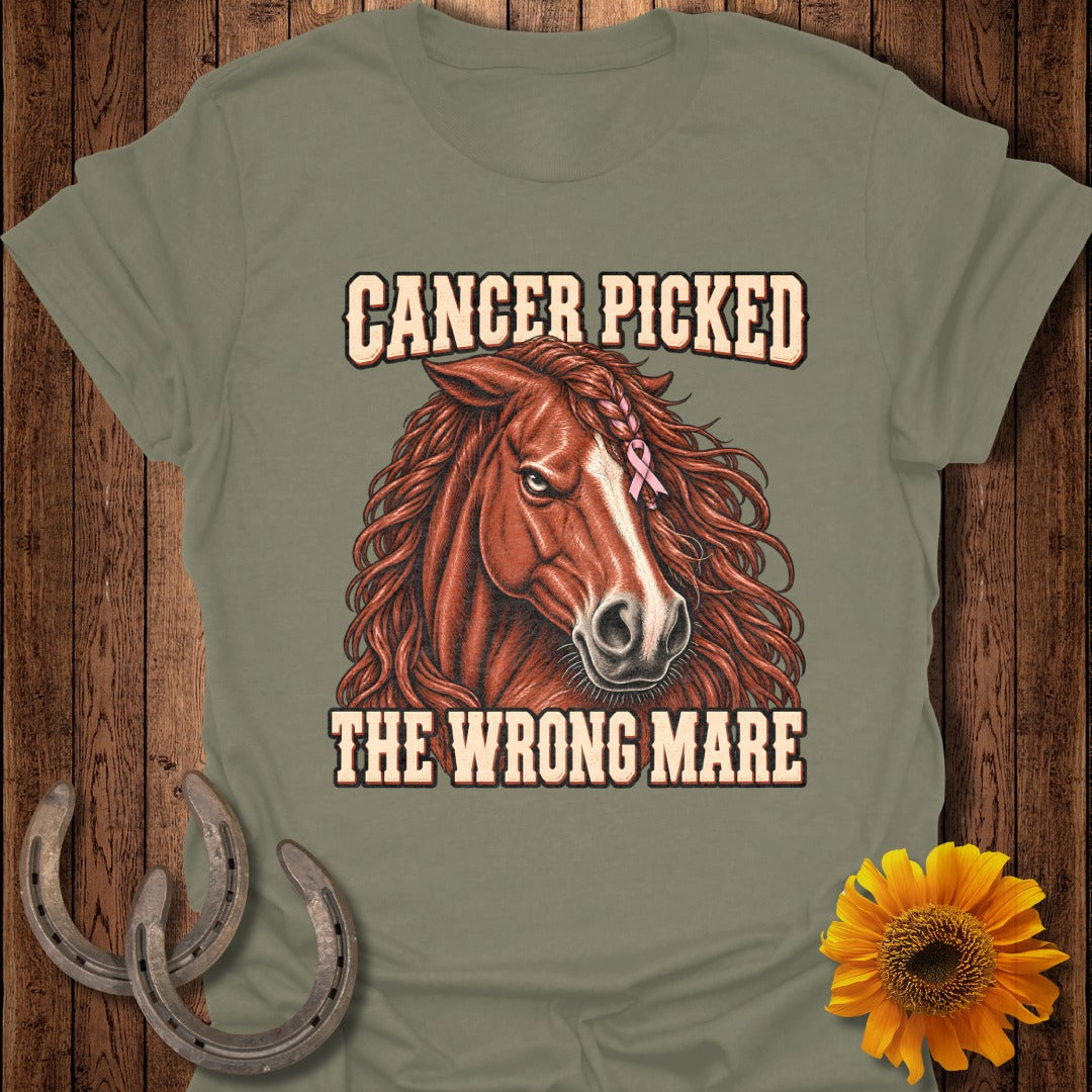 Horse with pink ribbon and text "Cancer picked the wrong mare."