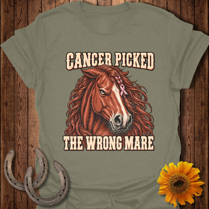 Horse with pink ribbon and text "Cancer picked the wrong mare."