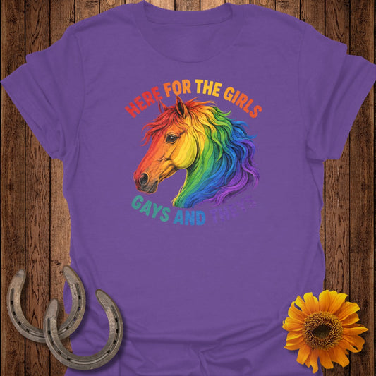 Purple t-shirt with rainbow horse and text "Here for the Girls, Gays and Theys".