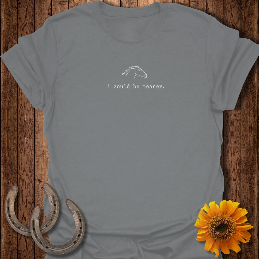 Gray t-shirt with white horse outline and "i could be meaner." text.