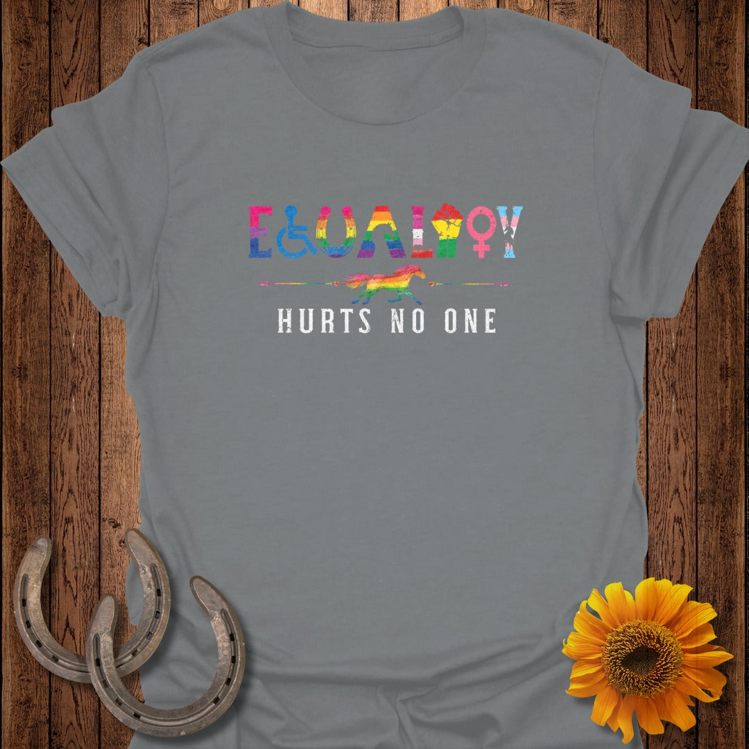 Grey t-shirt with "equality hurts no one" text and LGBTQ+ symbols above a horse.