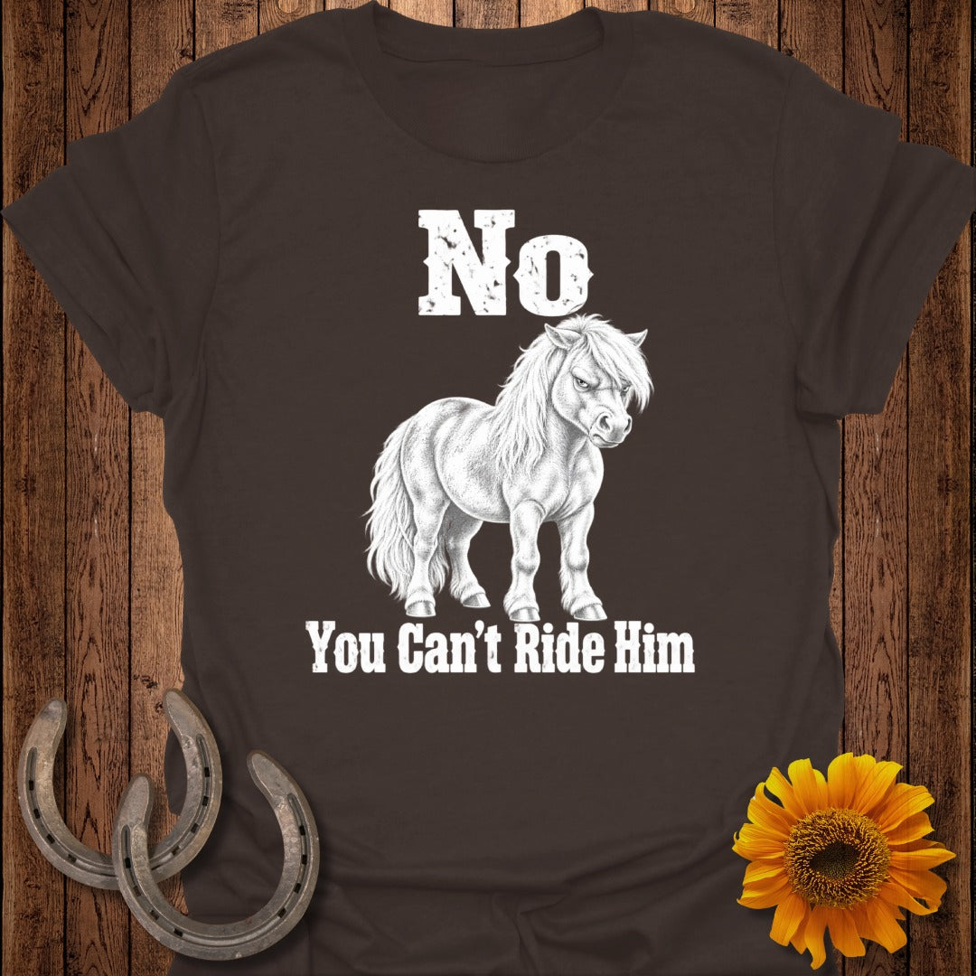 Brown t-shirt with white text "No" and drawing of a pony, "You Can't Ride Him".