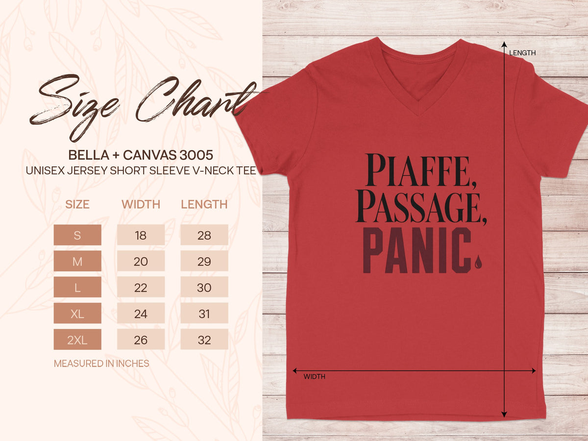 Bella + Canvas 3005 size chart for unisex v-neck tee with measurements in inches.