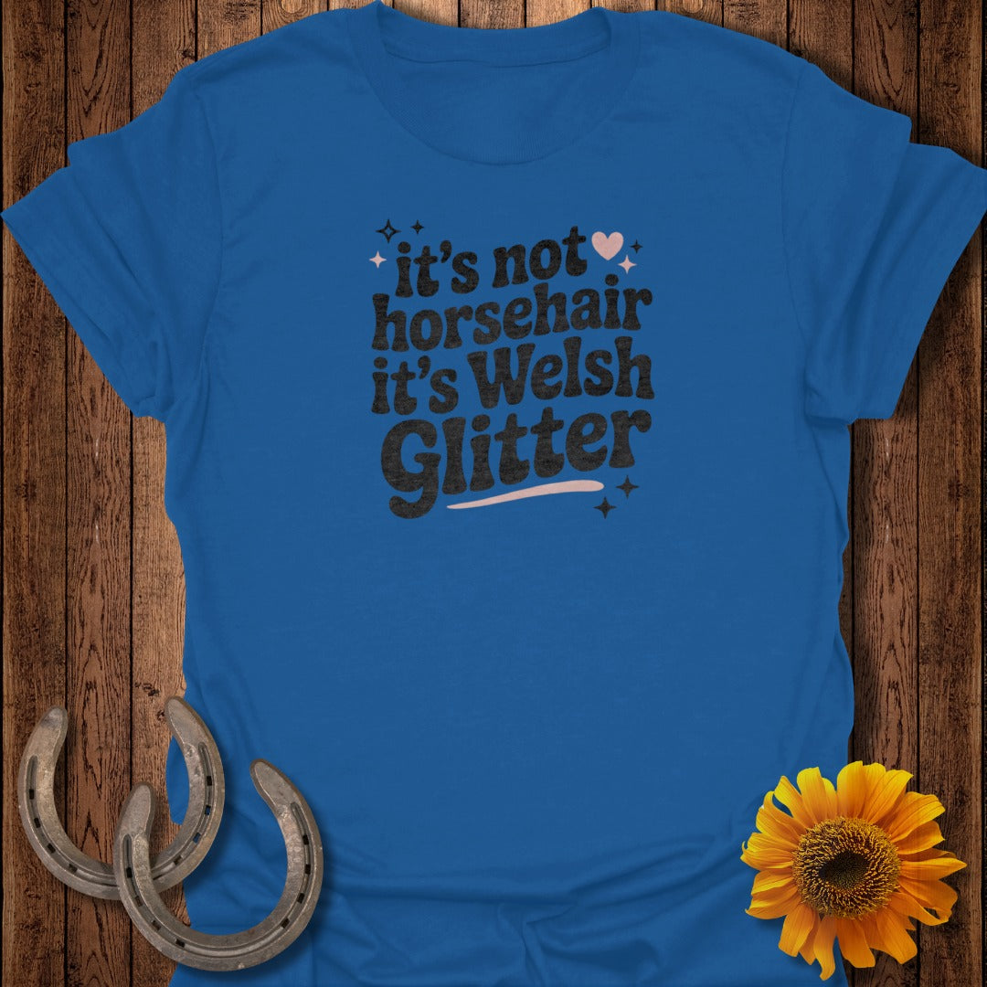 Blue t-shirt with "It's not horsehair it's Welsh Glitter" text.