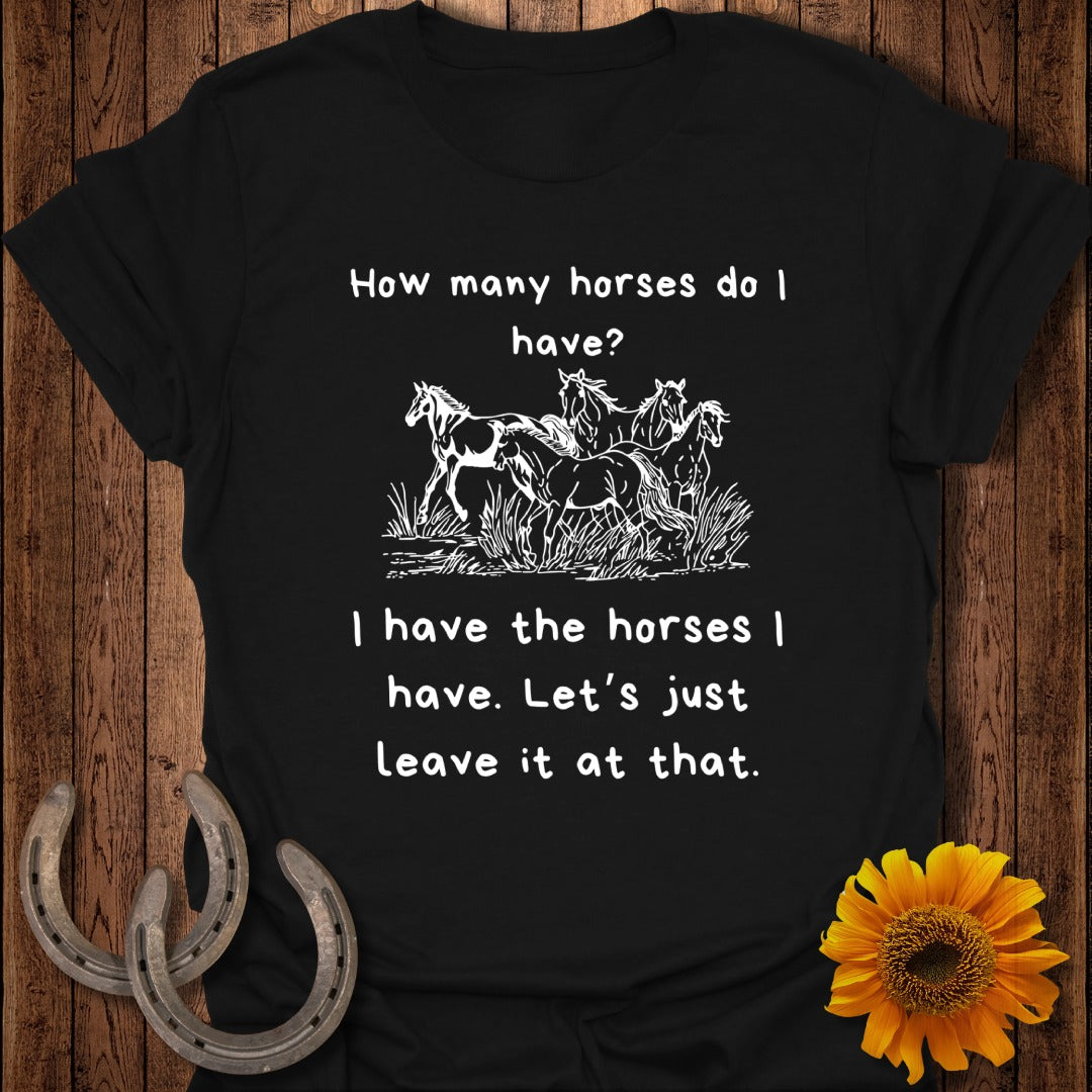 How Many Horses Softstyle T-Shirt