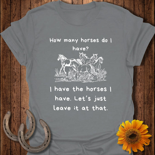 How Many Horses Softstyle T-Shirt