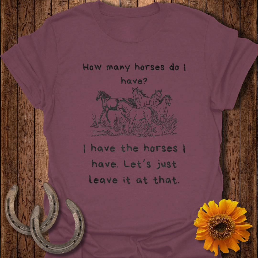 How Many Horses Softstyle T-Shirt