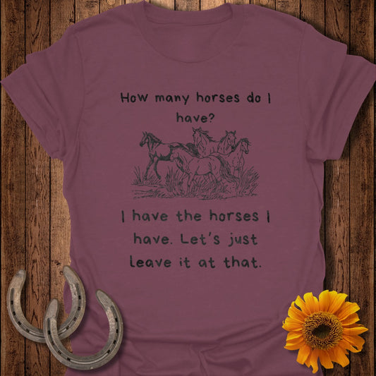 How Many Horses Softstyle T-Shirt