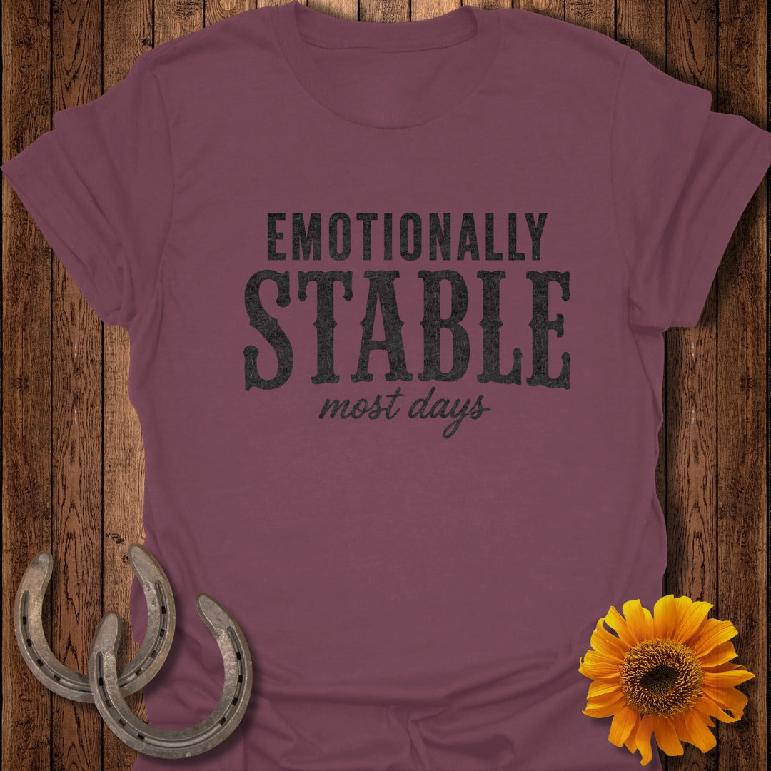 Maroon t-shirt with "Emotionally Stable most days" text and horseshoe and sunflower accents.