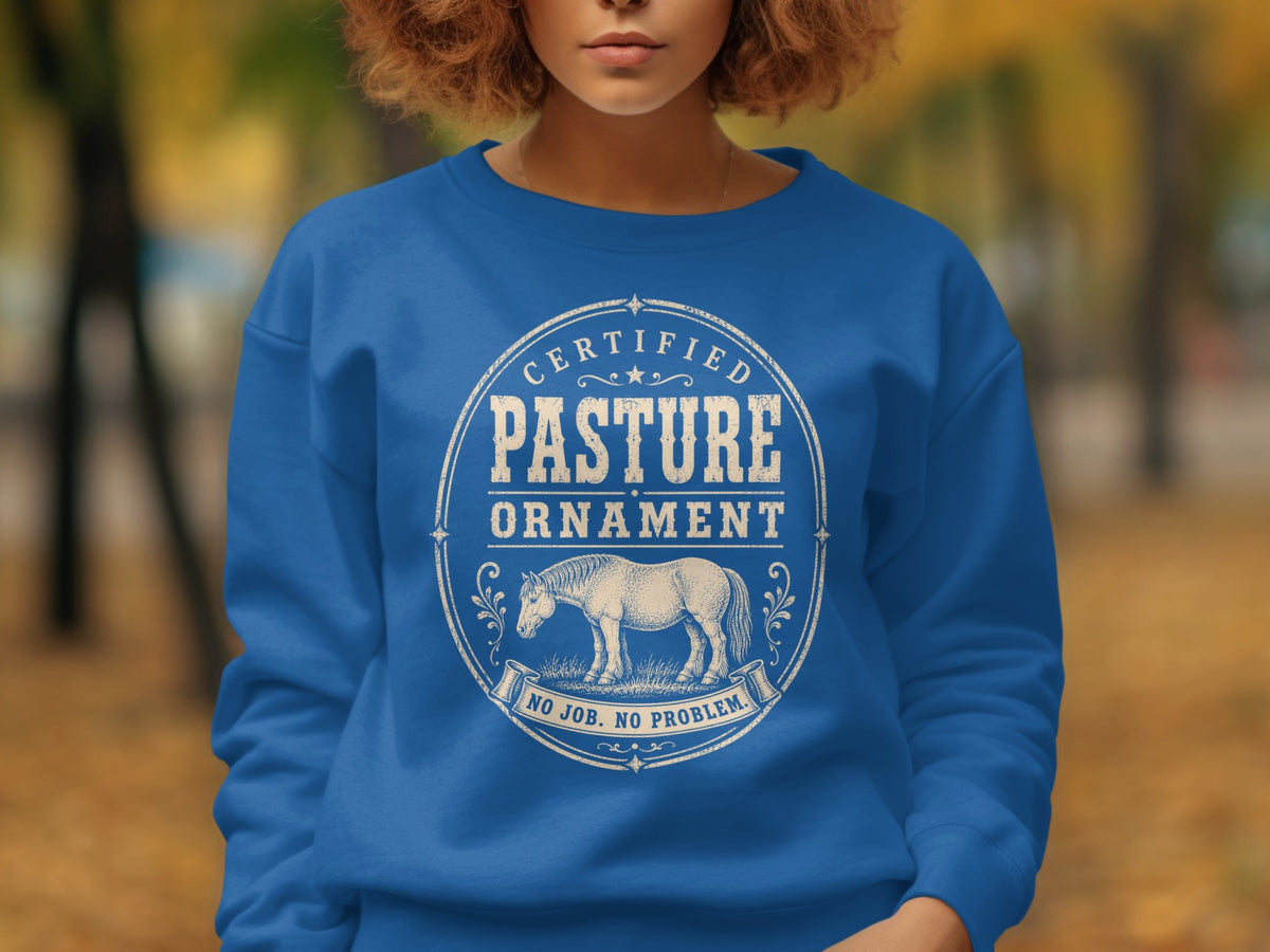 Blue sweatshirt with "Certified Pasture Ornament No Job. No Problem." text and horse graphic.