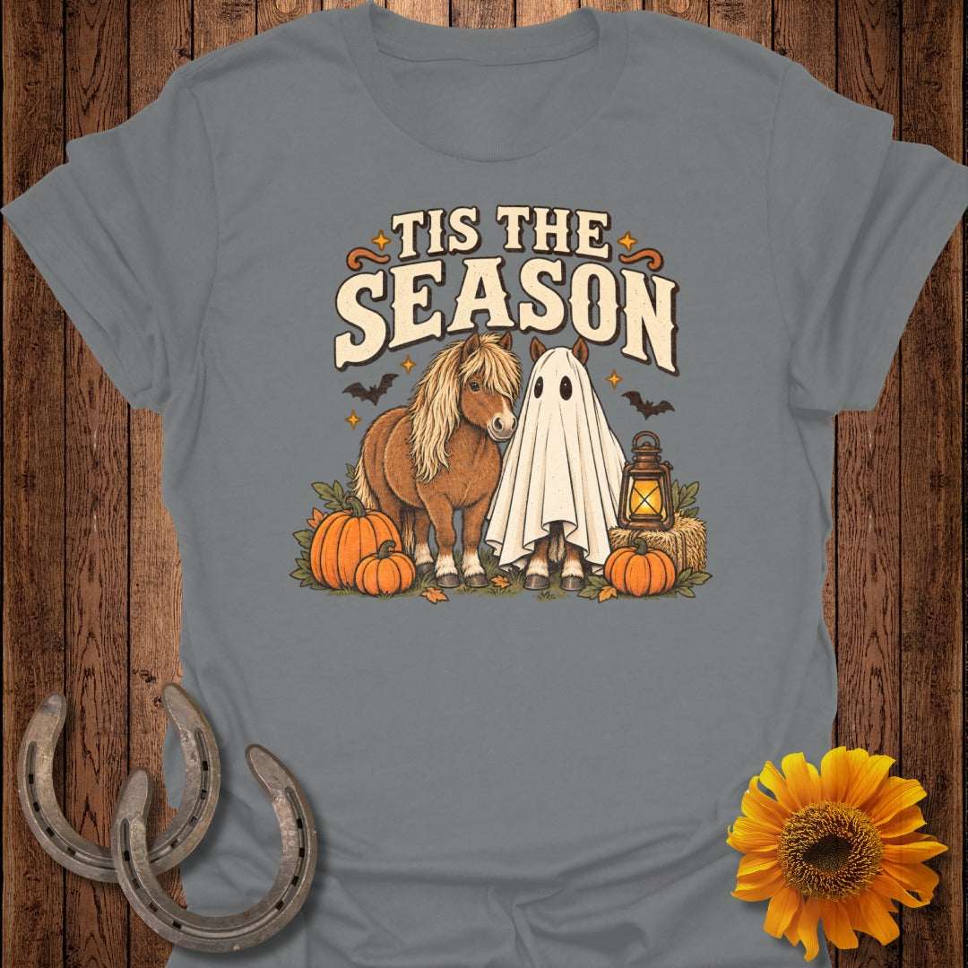 Horse in ghost costume next to pony with text "Tis The Season" and pumpkins.