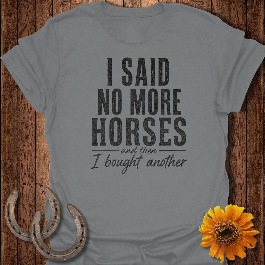 Grey t-shirt with "I said no more horses and then I bought another."