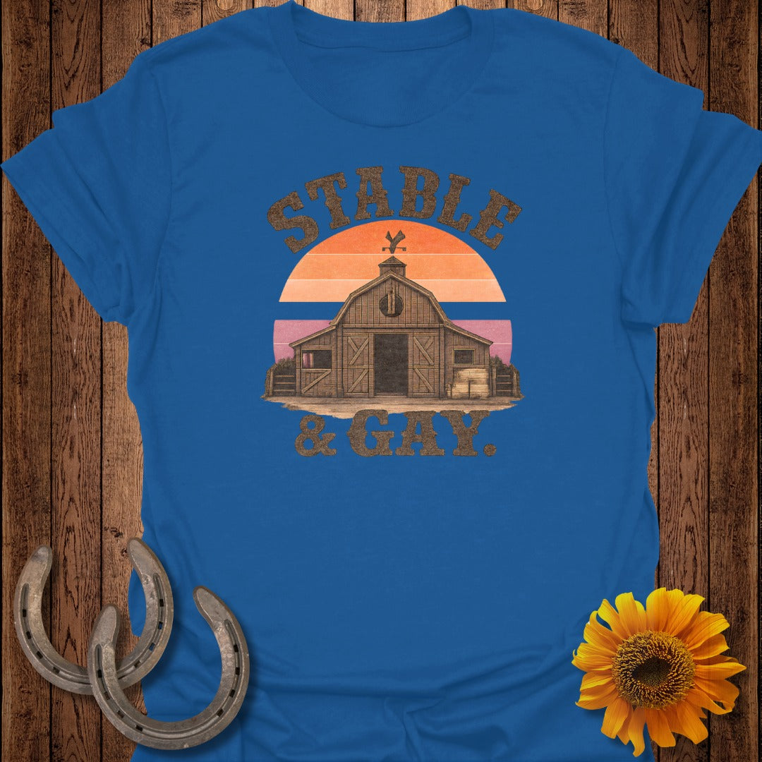 Barn, sunset, horseshoes, and sunflower on a royal blue t-shirt.