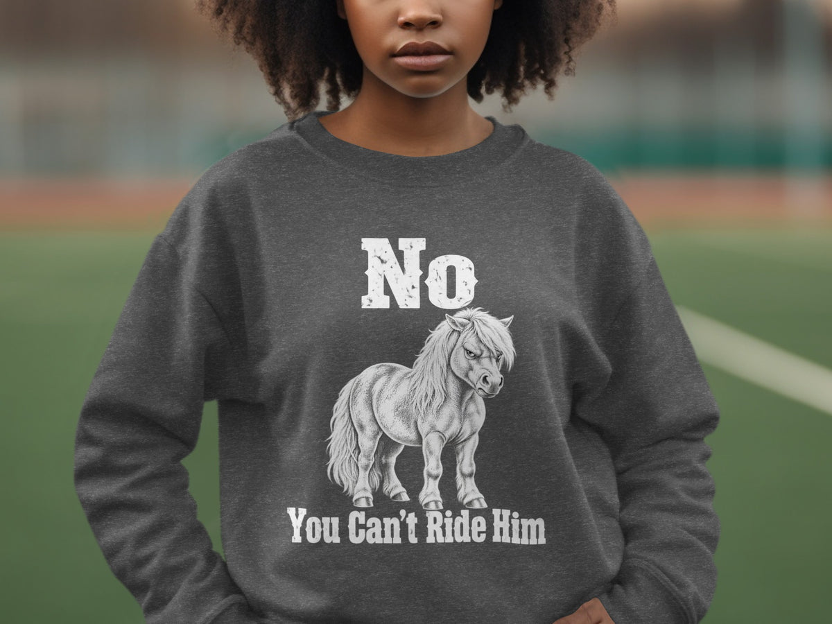 A person wearing a dark grey crewneck sweatshirt featuring a graphic of an angry pony with the text No You Can't Ride Him.