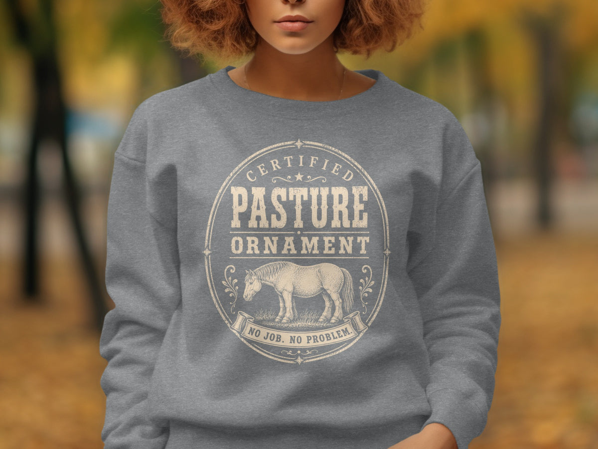 Gray sweatshirt with "Certified Pasture Ornament" and horse graphic.