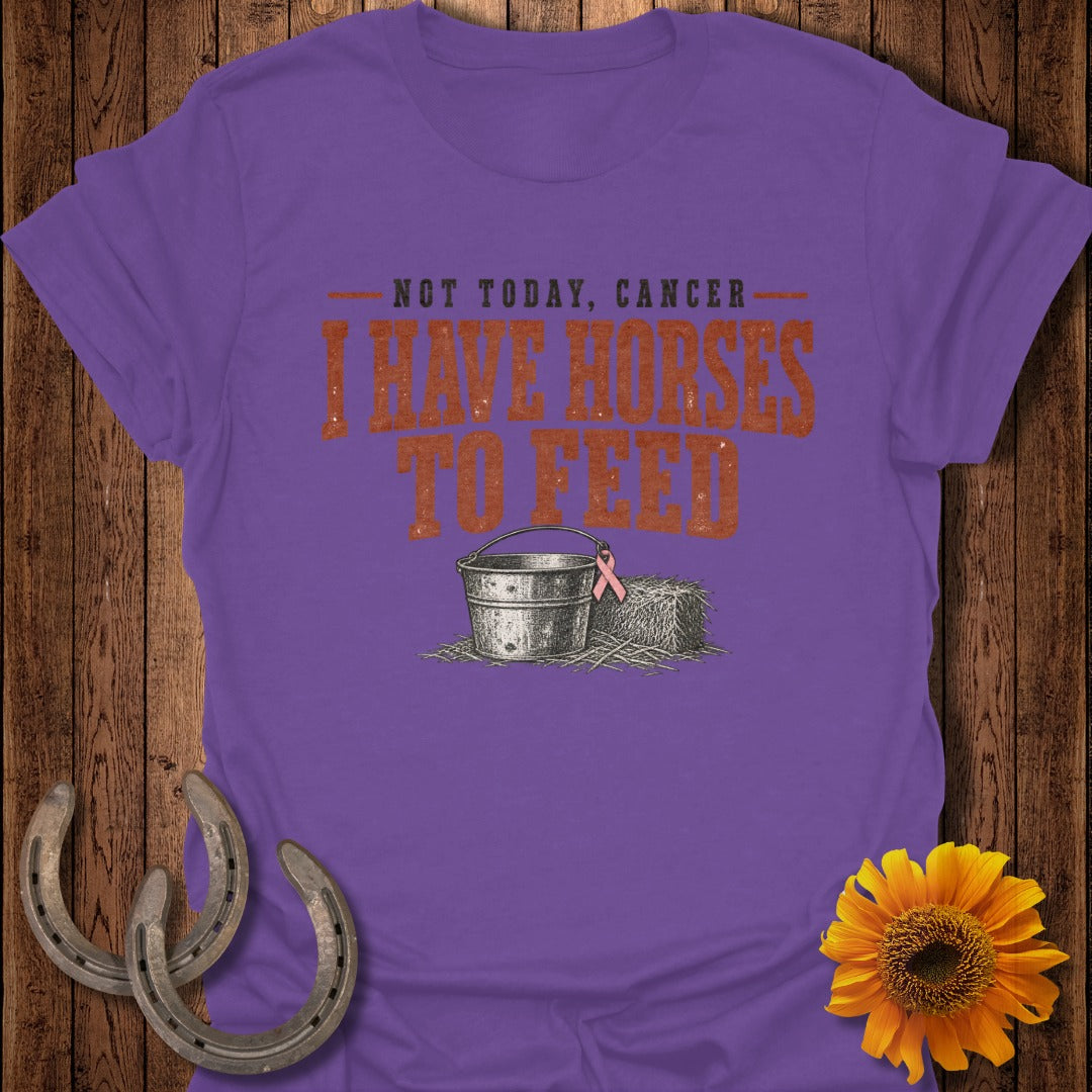 Purple t-shirt with "NOT TODAY, CANCER" and "I HAVE HORSES TO FEED" text.