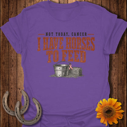 Purple t-shirt with "NOT TODAY, CANCER" and "I HAVE HORSES TO FEED" text.