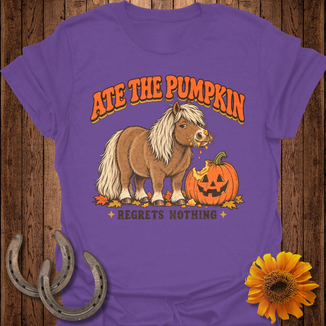 Pony eating pumpkin, text "ATE THE PUMPKIN REGRETS NOTHING"