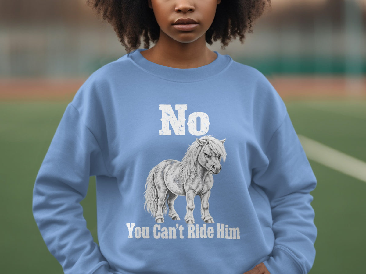 A person wearing a light blue crewneck sweatshirt with the text "No You Can't Ride Him" and an illustration of a pony.