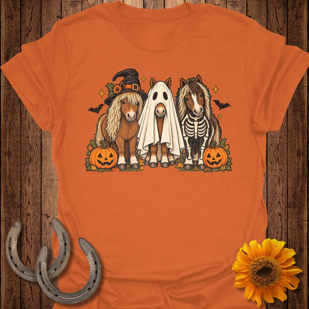Three ponies dressed for Halloween: one in a witch hat, one as a ghost, one as a skeleton.