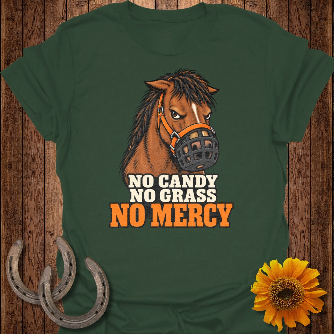 Brown horse with muzzle on green t-shirt with text "NO CANDY NO GRASS NO MERCY".