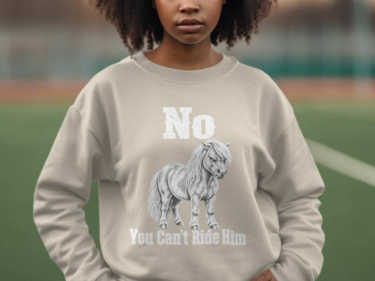 A person wearing a beige crewneck sweatshirt printed with a graphic of a pony and text that reads No You Can't Ride Him.