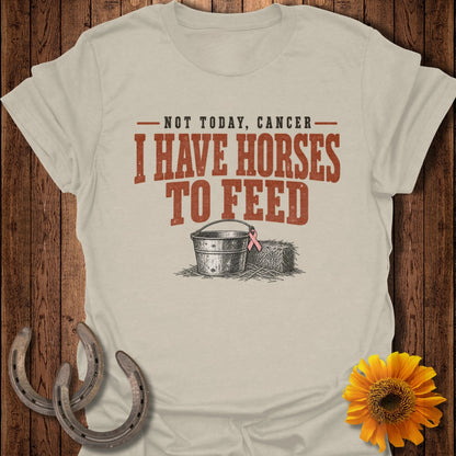 Light beige t-shirt with "I HAVE HORSES TO FEED" and pink ribbon.