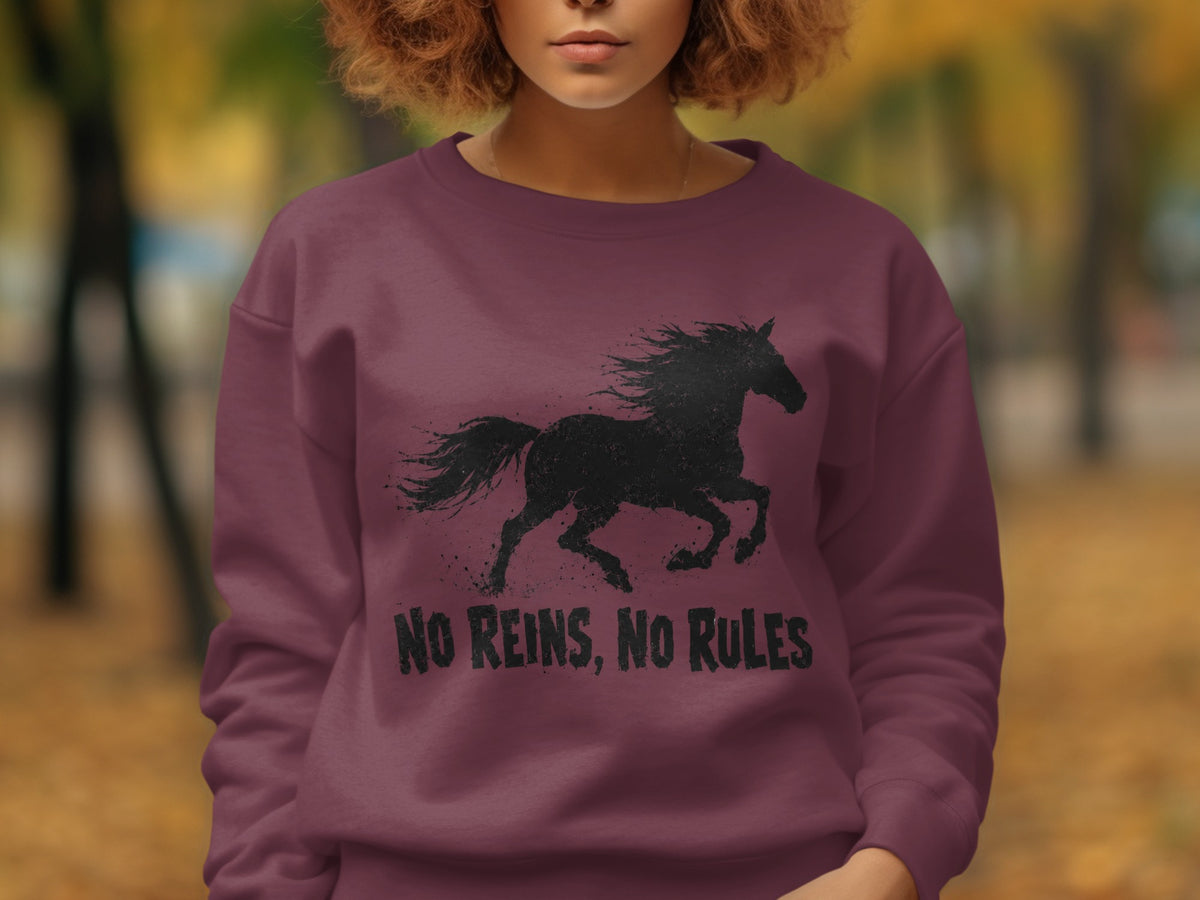 Burgundy sweatshirt with a black distressed horse graphic and "NO REINS, NO RULES" text.