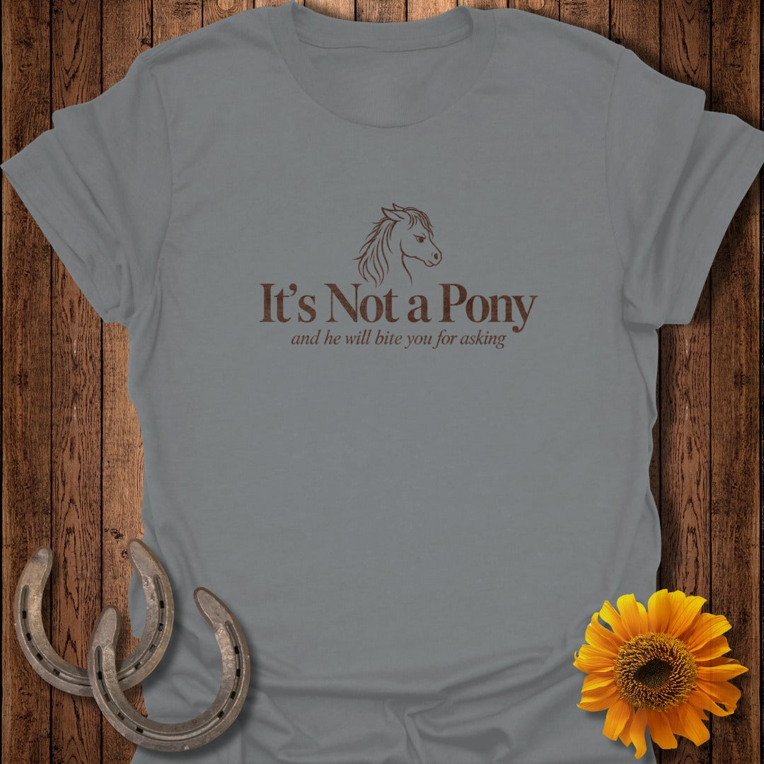 Grey t-shirt with a horse graphic and text: "It's Not a Pony and he will bite you for asking".