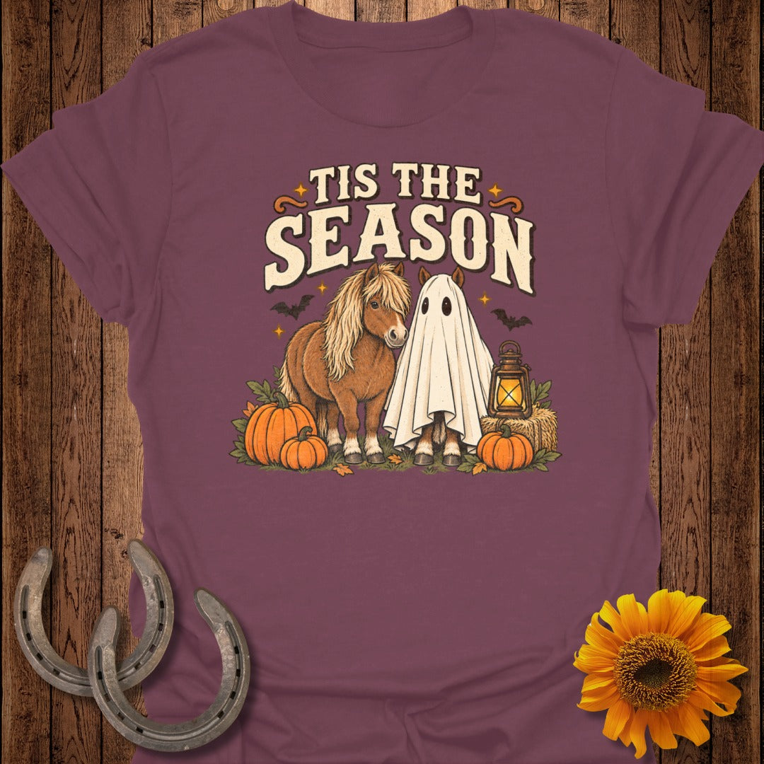 Two ponies, one in a ghost costume, with pumpkins and text "Tis The Season."