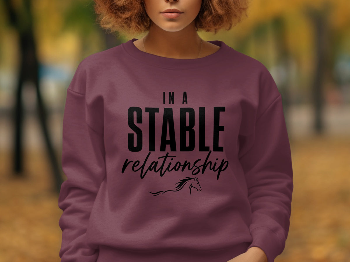 Maroon sweatshirt with "IN A STABLE relationship" text and horse graphic.