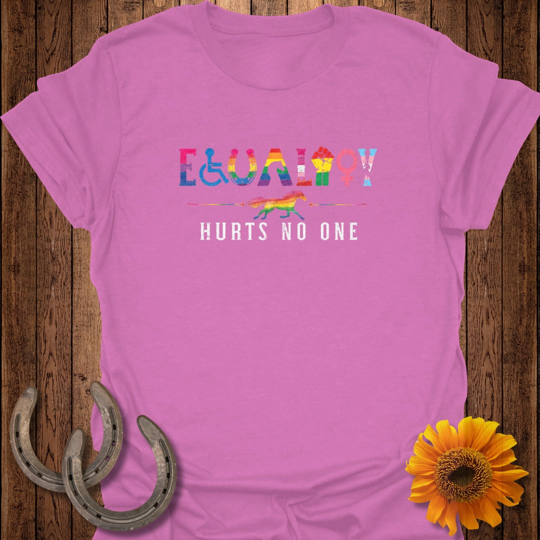 Pink t-shirt with "Equality Hurts No One" and rainbow symbols.