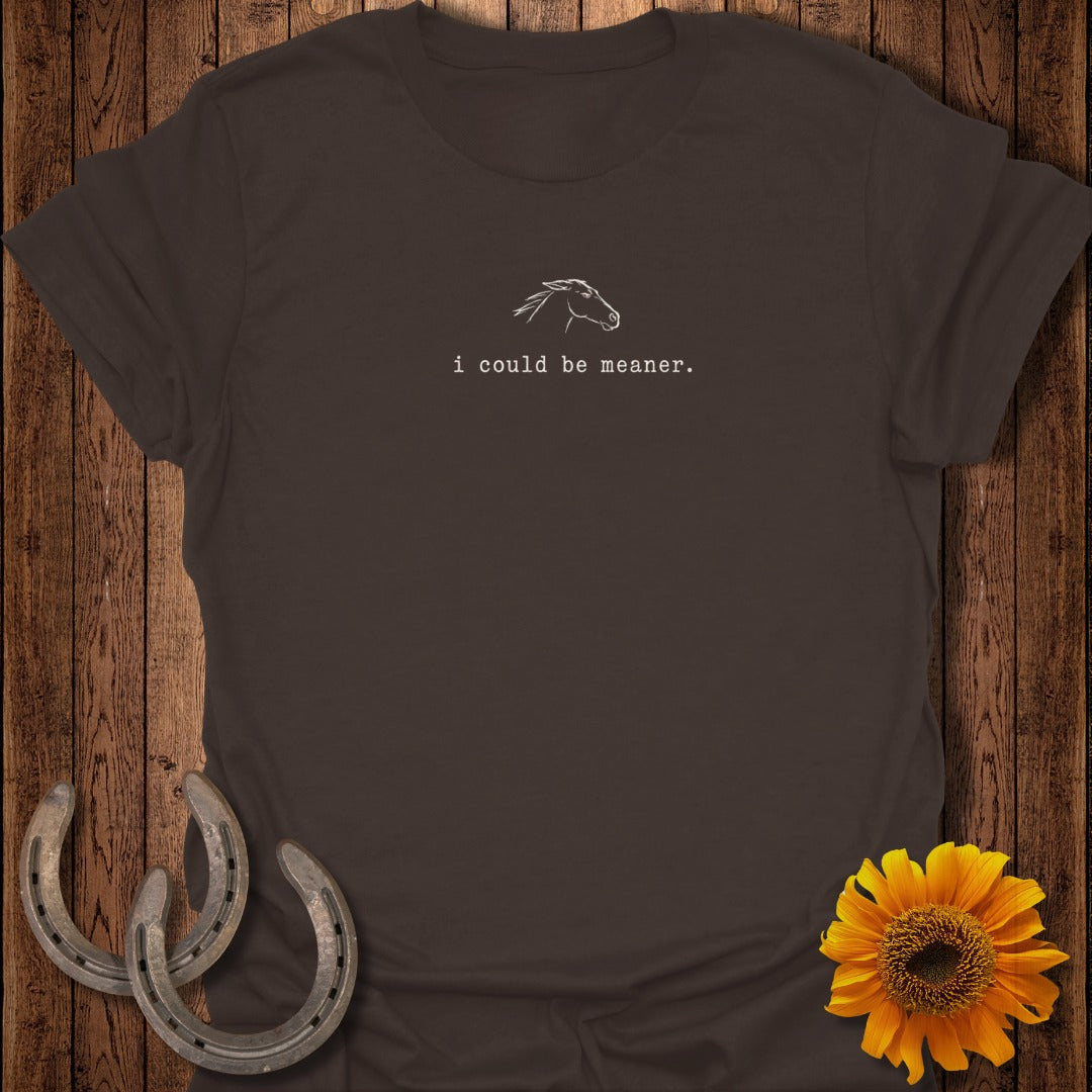 Brown t-shirt with "i could be meaner." and a horse outline.