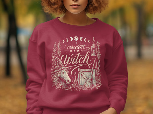 Red sweatshirt with "resident Barn Witch" design featuring a horse in a witch hat and a broom.