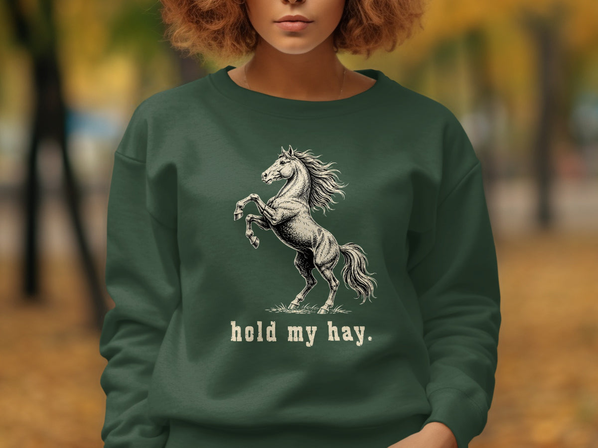 Dark green sweatshirt with a rearing horse graphic and "hold my hay" text.
