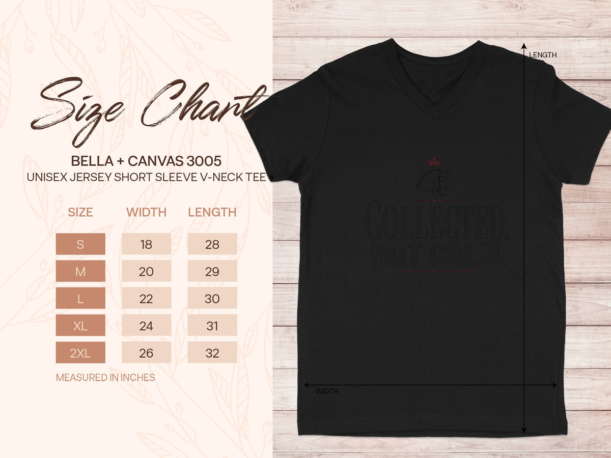 Bella + Canvas 3005 unisex V-neck tee size chart showing width and length in inches.