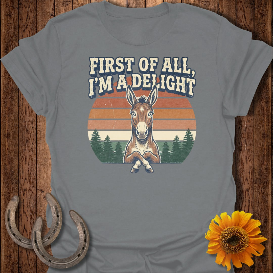 Grey t-shirt with a vintage illustration of a donkey and text "First of all, I'm a delight".