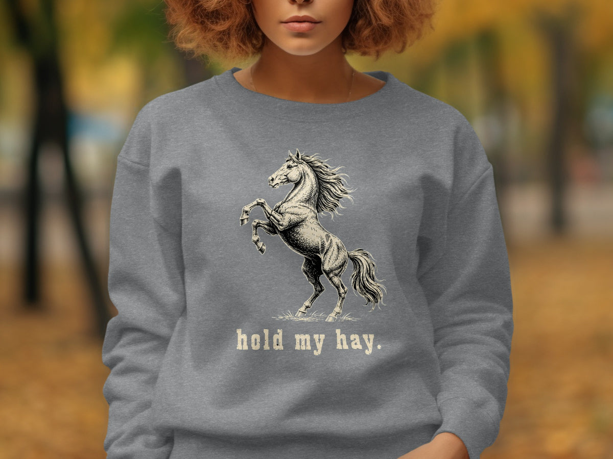 Gray sweatshirt with a rearing horse graphic and "hold my hay." text.