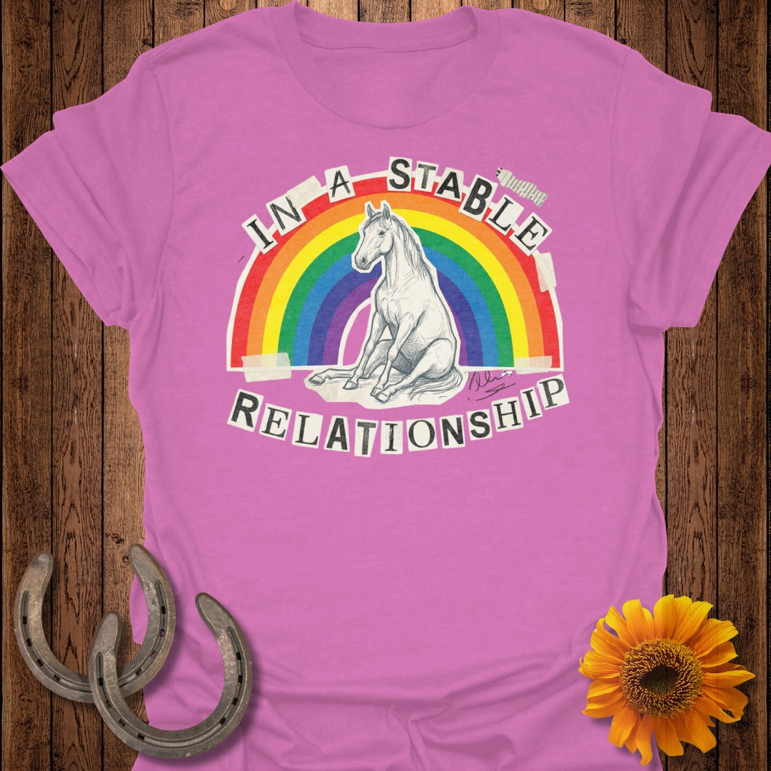 In A Stable Relationship Rainbow Horse Design Tee