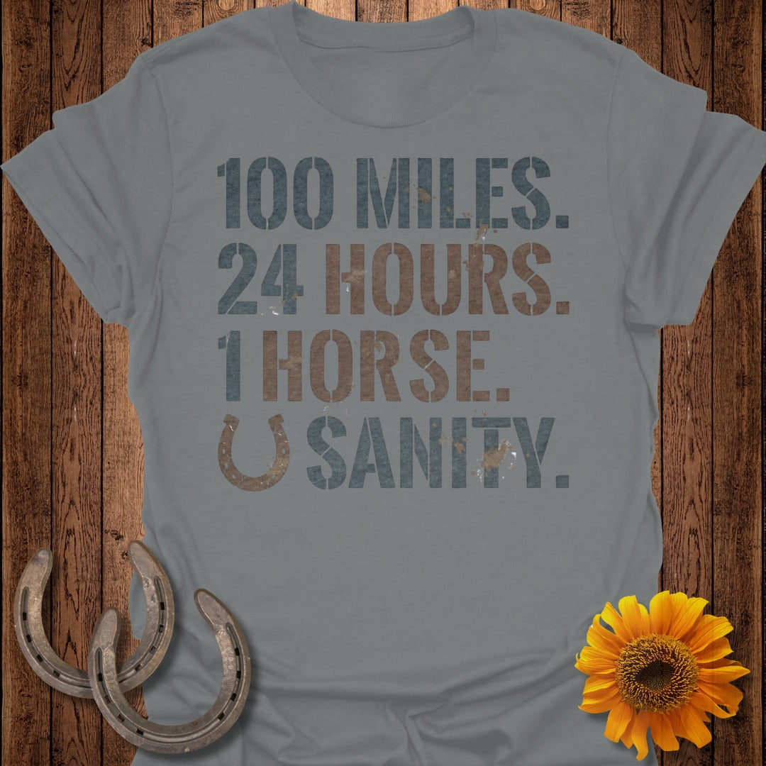 100 Miles 24 Hours 1 Horse Sanity Graphic Tee