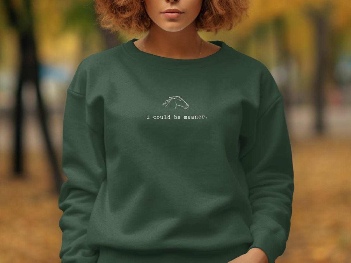 Green sweatshirt with a white line drawing of a horse and "i could be meaner."