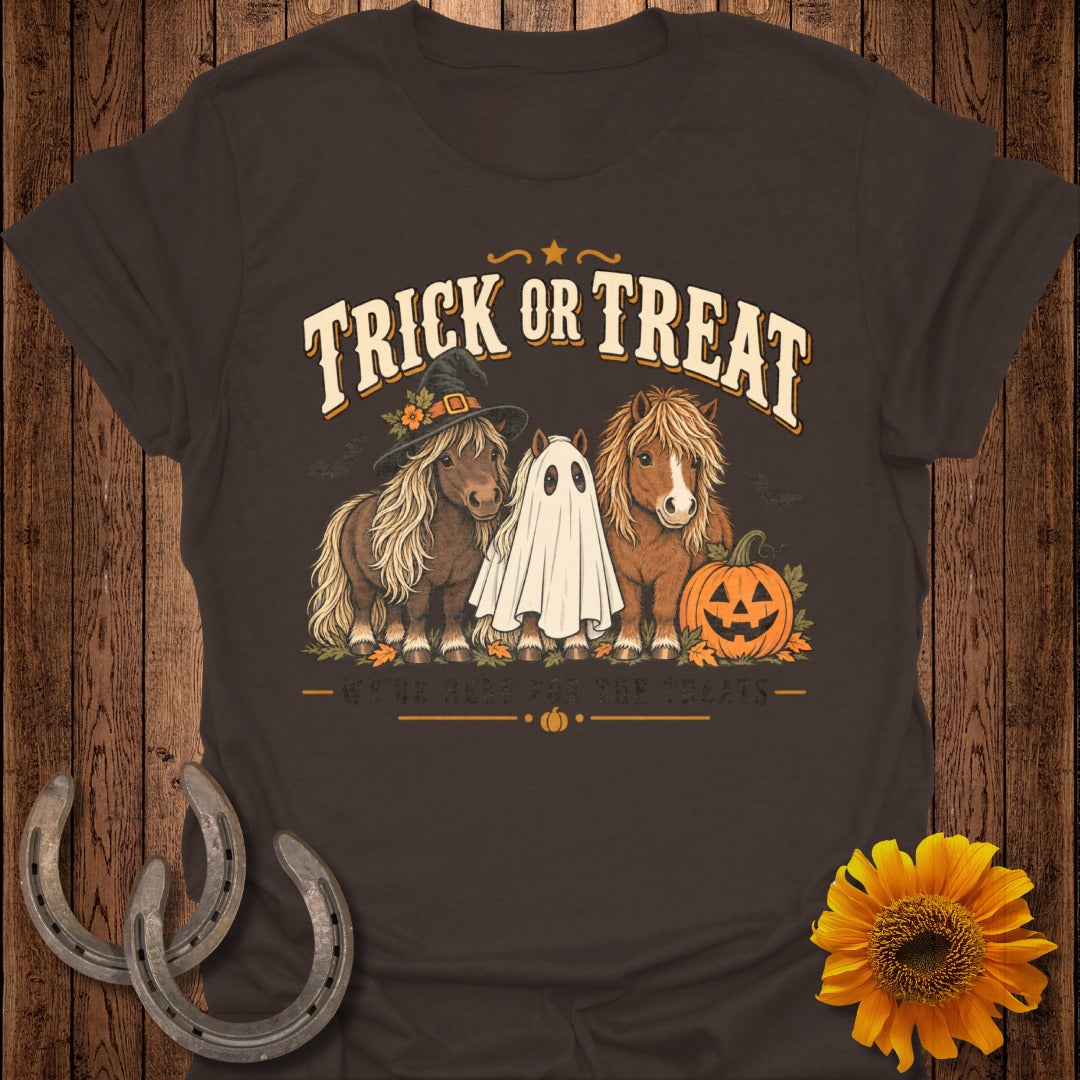 Three ponies, one in a witch hat, with a ghost and pumpkin on a brown t-shirt.