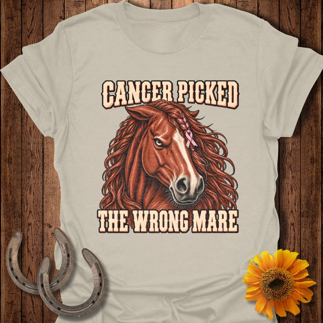 Horse with pink ribbon and text "Cancer picked the wrong mare".